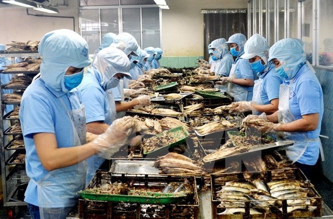 附圖：2018年前兩月越南水產(chǎn)品出口額同比增長近30%。（圖片來源：越通社）